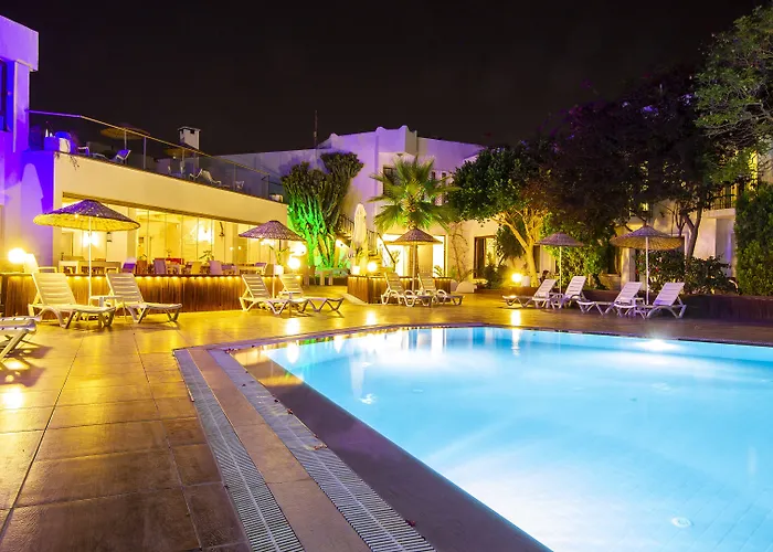 Flora 3* غومْبيت