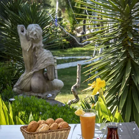Hotel Flora Gümbet