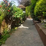 Flora Gümbet