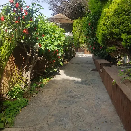 Flora غومْبيت
